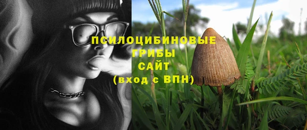 mdma Дмитровск