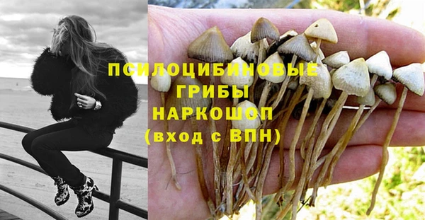 круглые Дмитриев