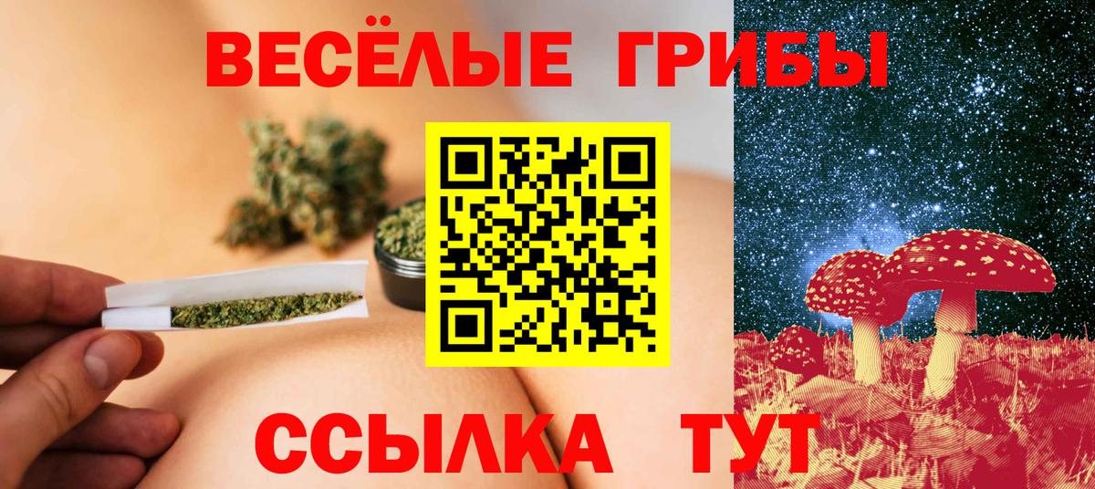 Орск  Псилоцибиновые грибы Psilocybe  Вход с VPN 